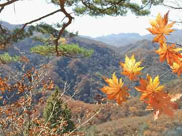 砚山县人事任免最新动态更新