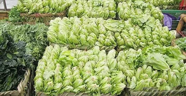 淮海蔬菜批发最新价格
