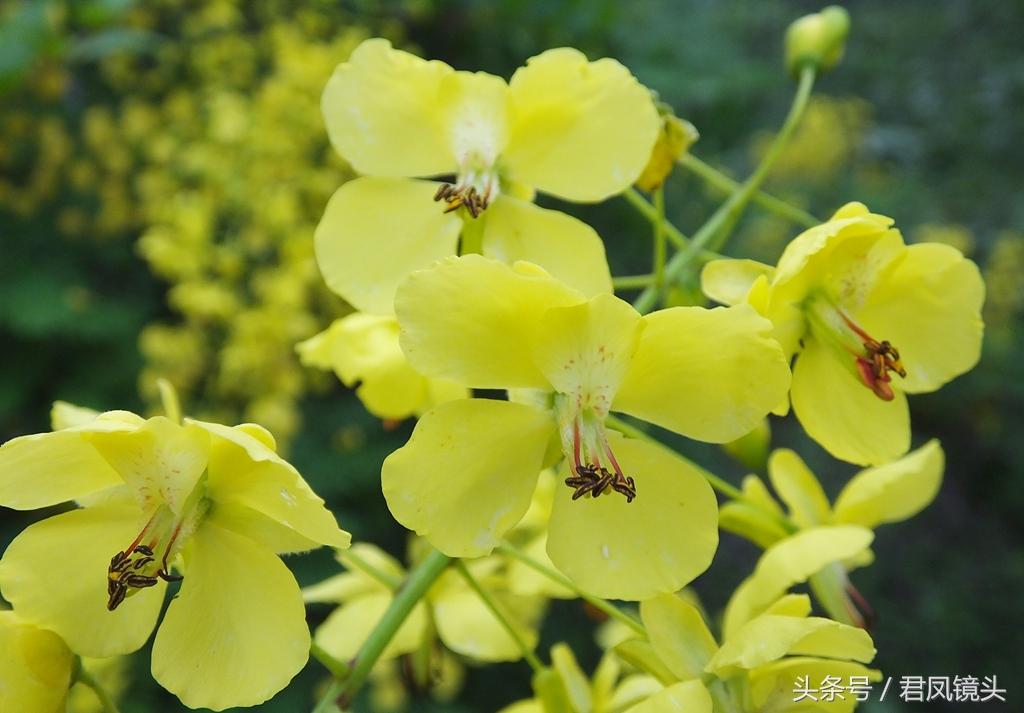 夷陵区郭家湾最新规划