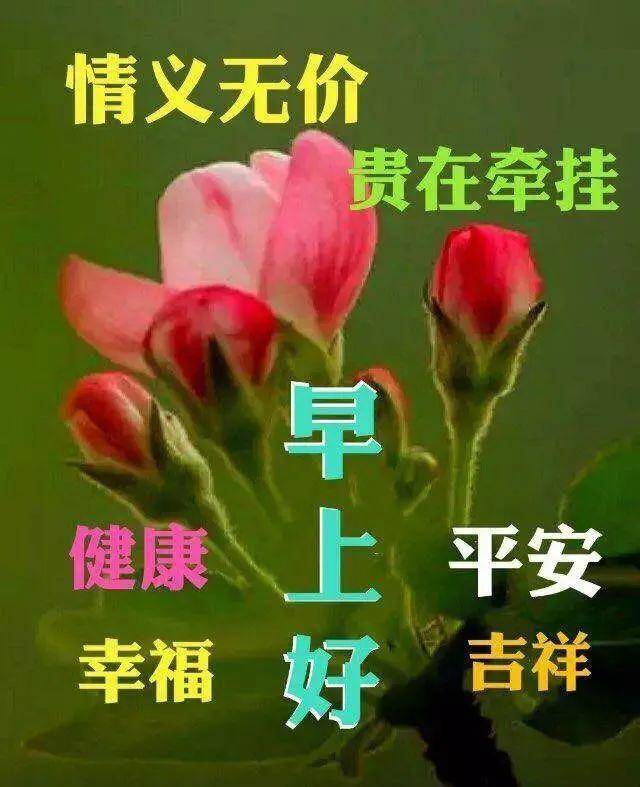 最新早晨问候语