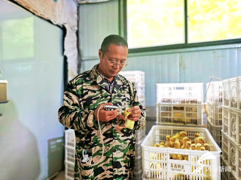 衡水楼房最新价格走势