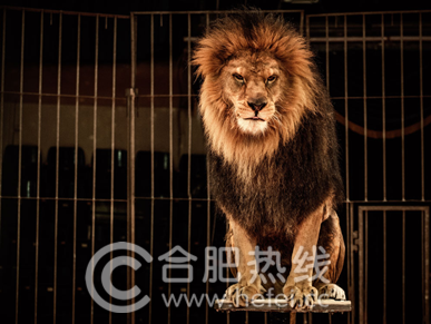 上派绿地最新动态