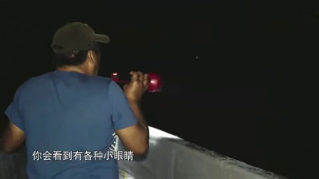 兔小妹探险最新视频