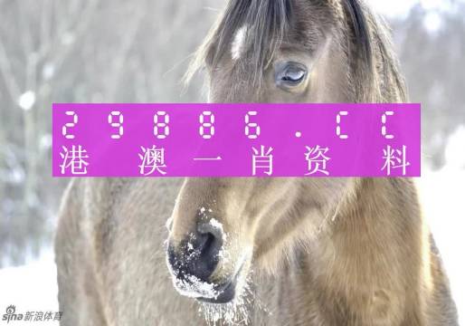 澳门精准一肖一码100%我问问90297聪明,策略规划_DUE58.890高清晰度版