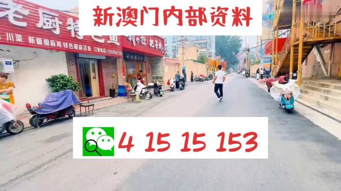 2024年澳门天天开好彩精准免费大全,决策信息解释_CUD58.160高级版