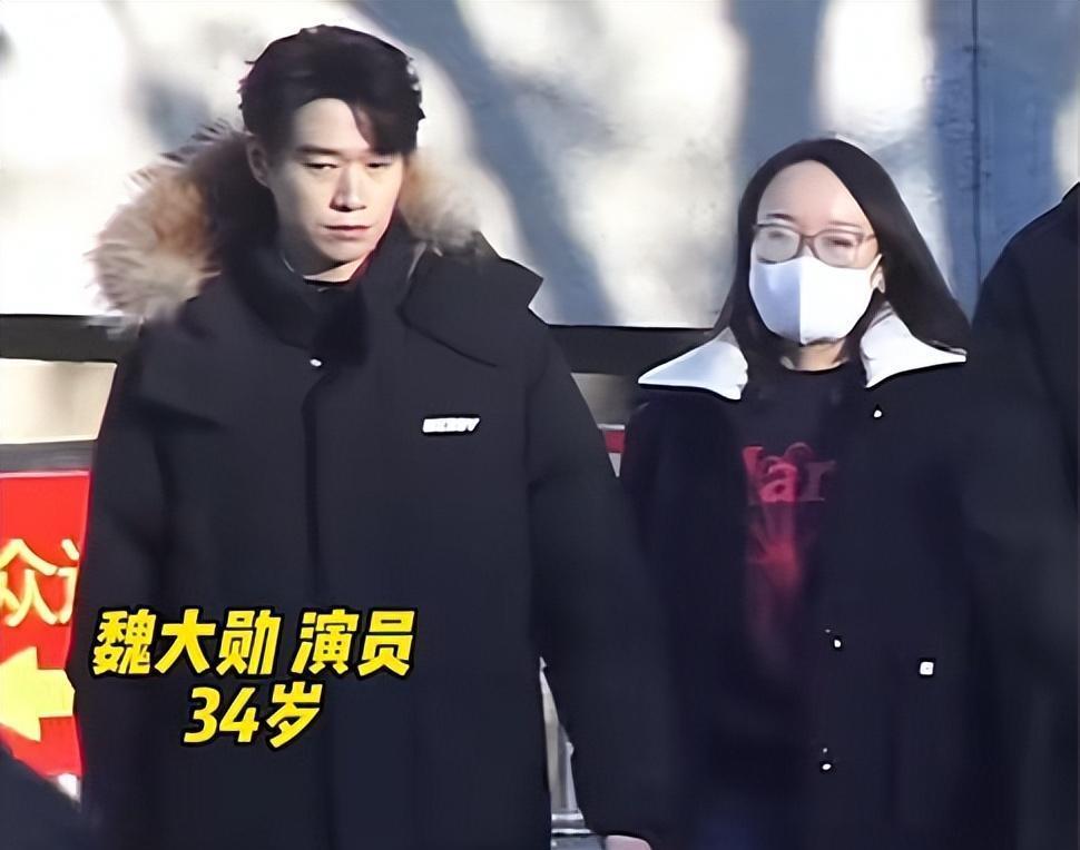 杨幂最新消息2024