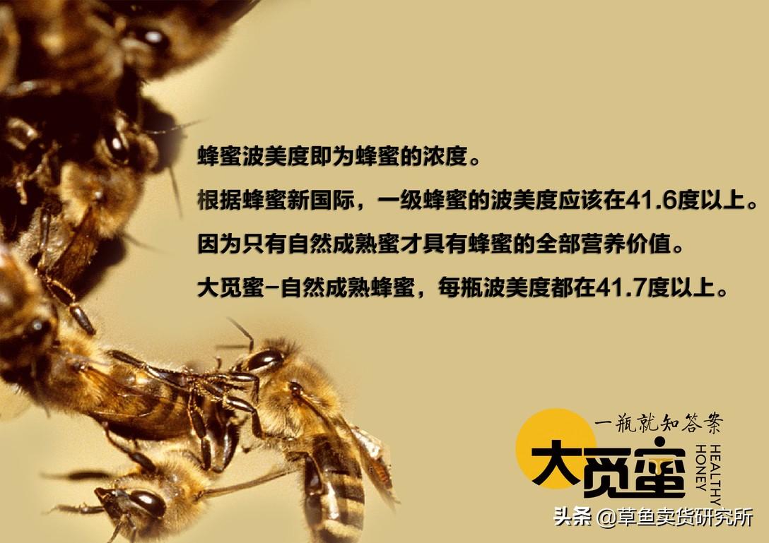 觅蜜最新
