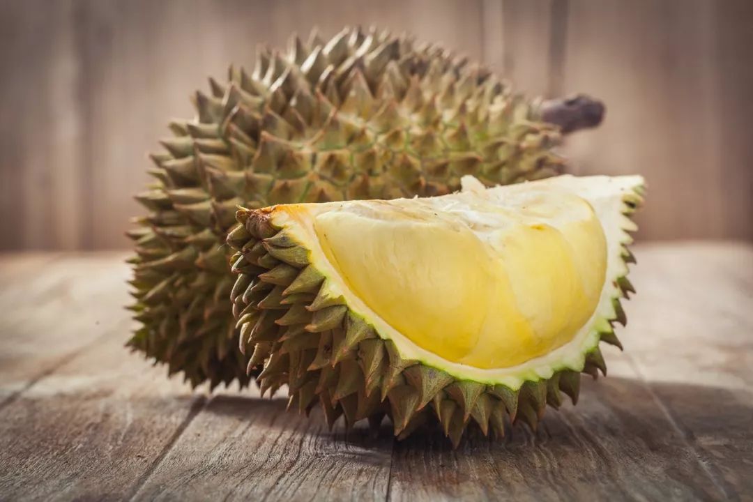 榴莲最新视频