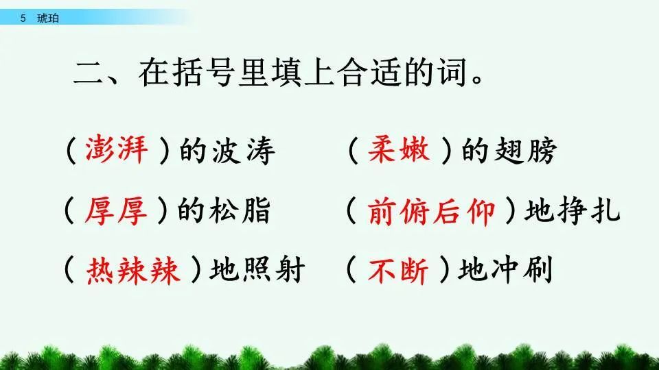 琥珀最新课文