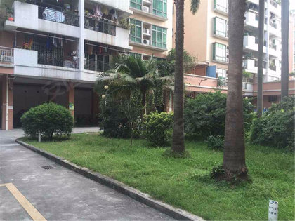 美雅苑最新