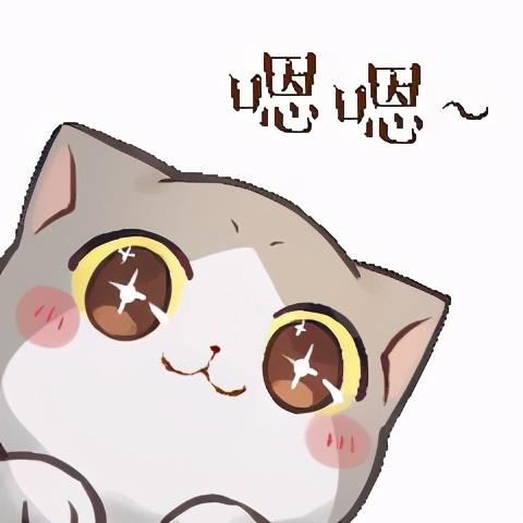 最新斗图猫
