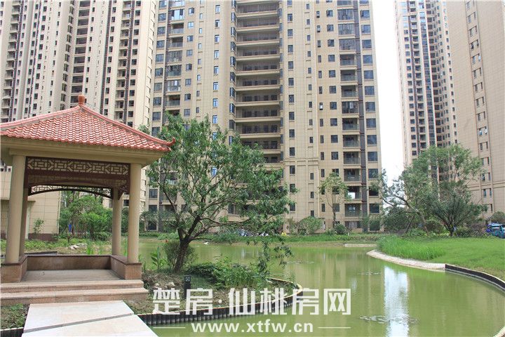 仙桃御湖世家动态资讯