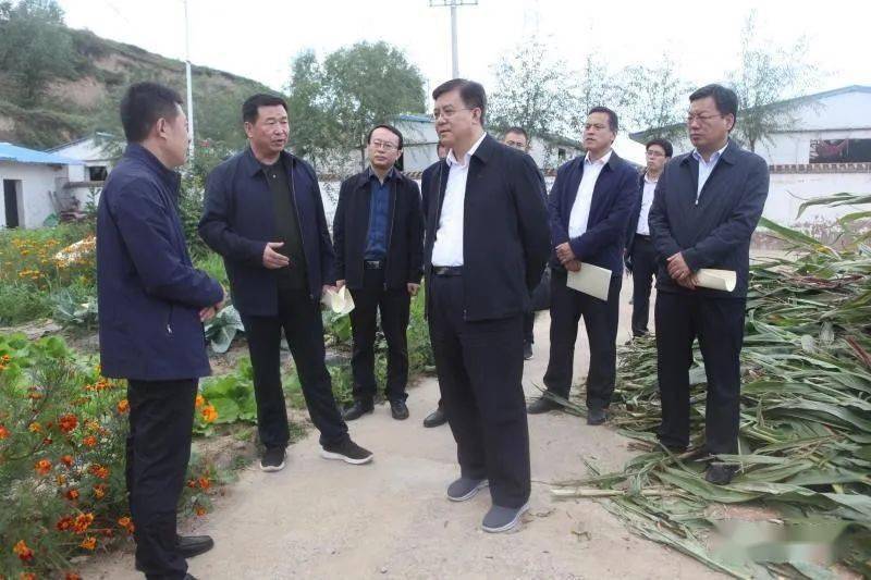 庄浪县盘安镇最新动态