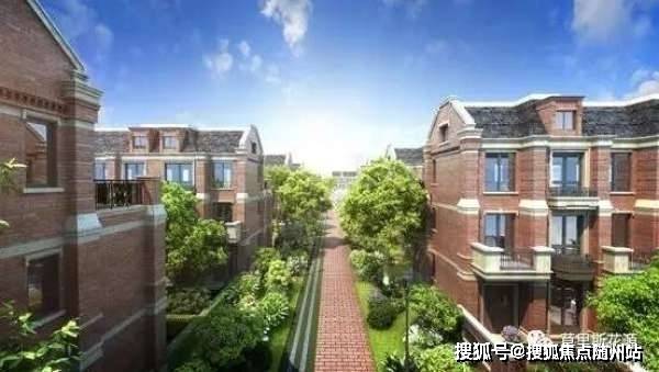 “盒子大师最新DNS解析服务”