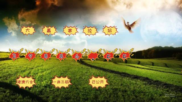 4949澳门特马今晚开奖53期,实地数据评估分析_高配版27.633