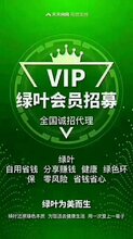 苏州绿叶是上市公司吗