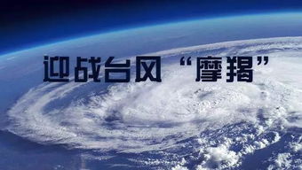 启动了最新