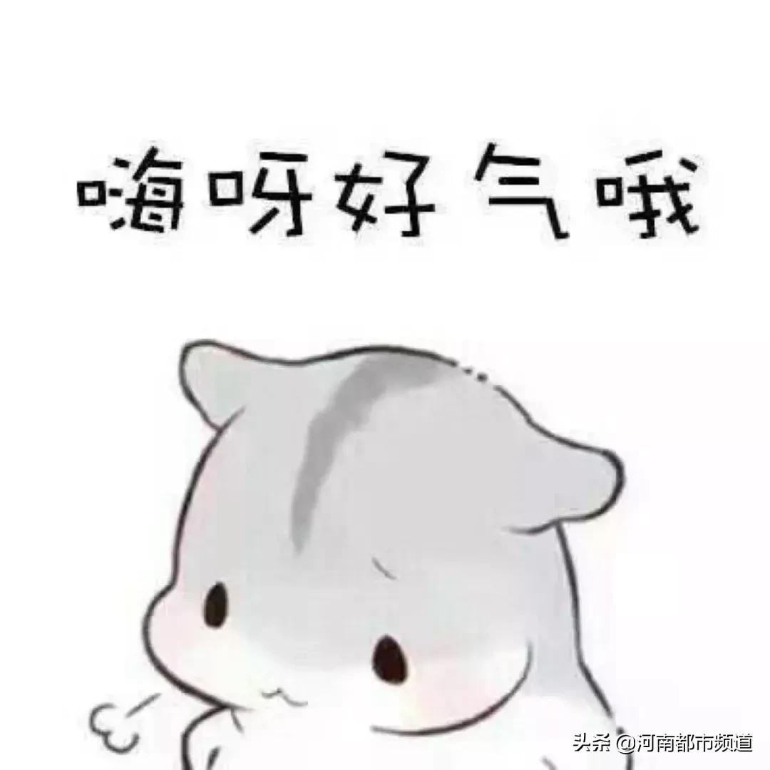 最新八级残疾军人政策