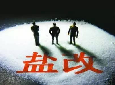 盐业改革最新动态