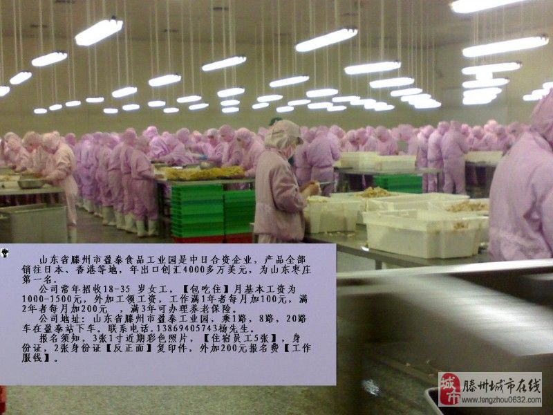曲周工厂招聘女工