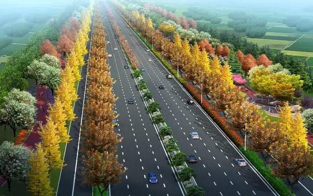 公路最新是