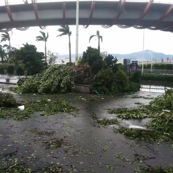 厦门台风最新动态