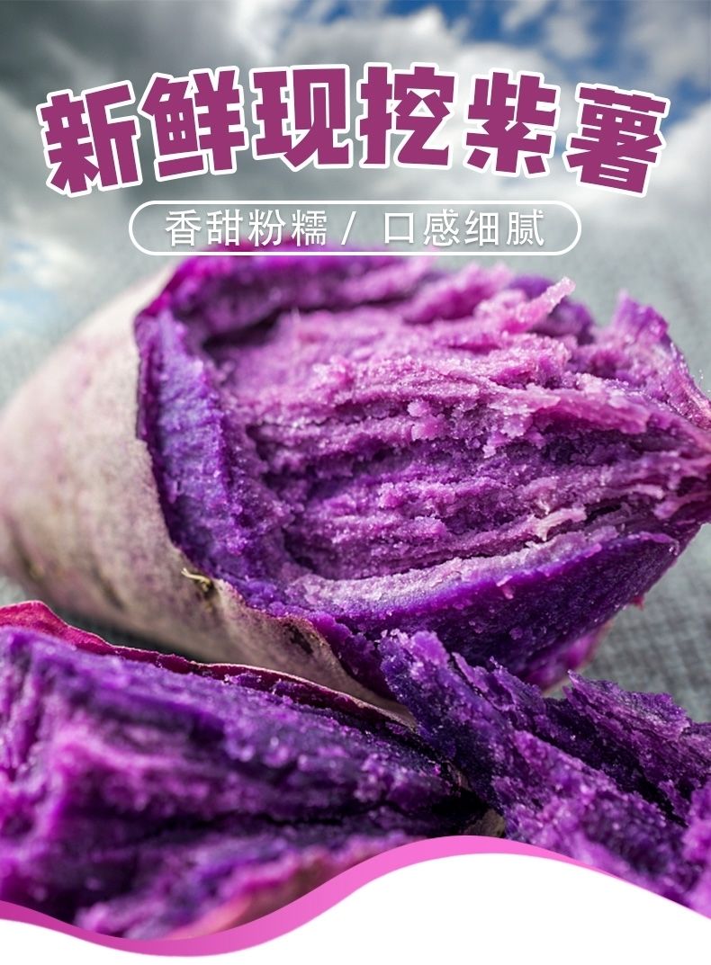 紫薯现价