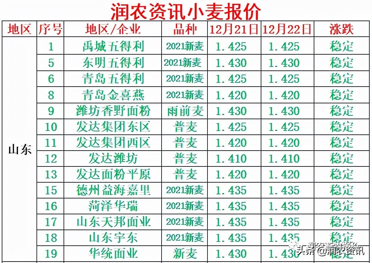 小麦价格实时动态今日