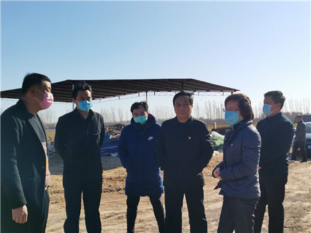 临清疫情动态，科技助力重塑防控新篇章