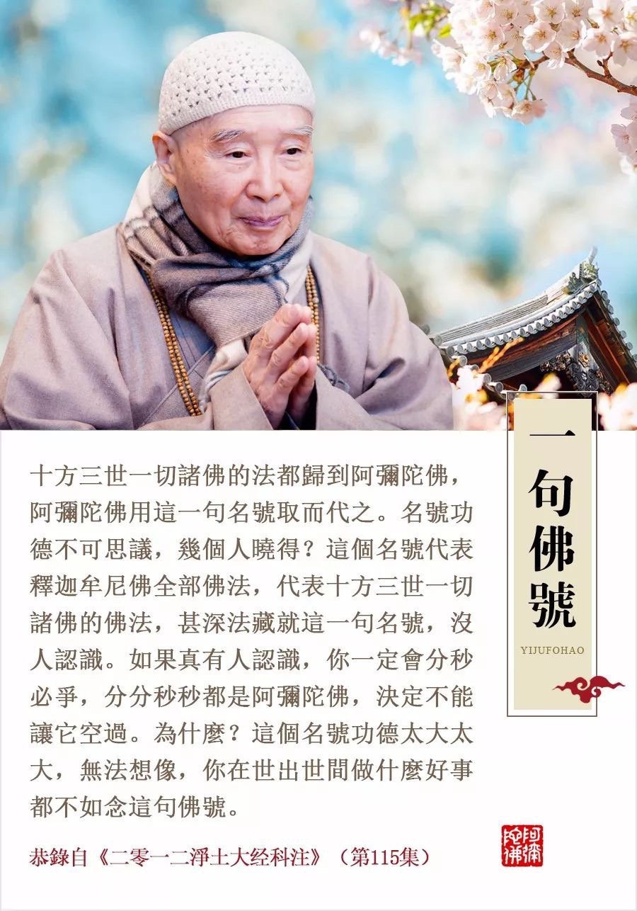 刘素云2025最新问答