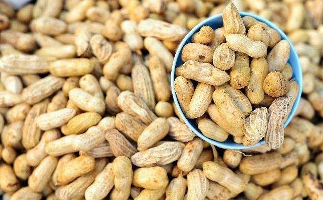 花生米的最新价格