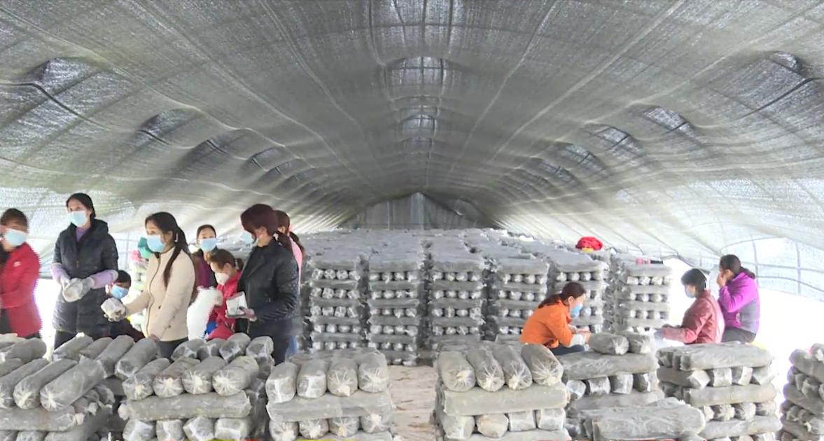 红十五线拓宽改建最新