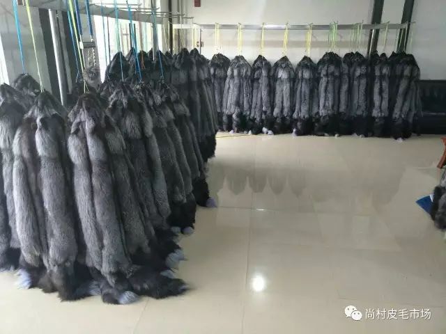 河北尚村狐皮最新价格