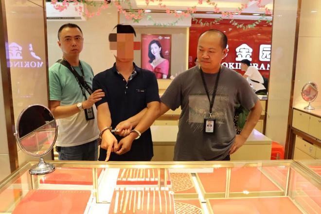 最新公安侦破电视剧
