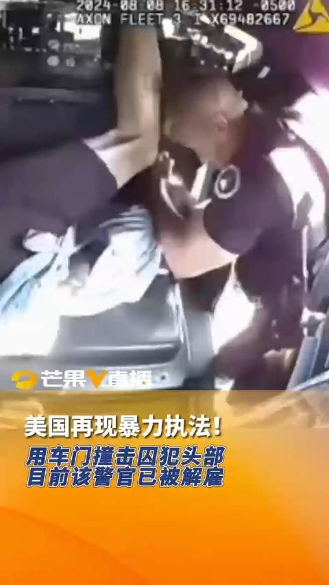 最新交警暴力执法视频详解，步骤指南与应对之策