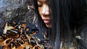 大侦探之单挑荒野最新