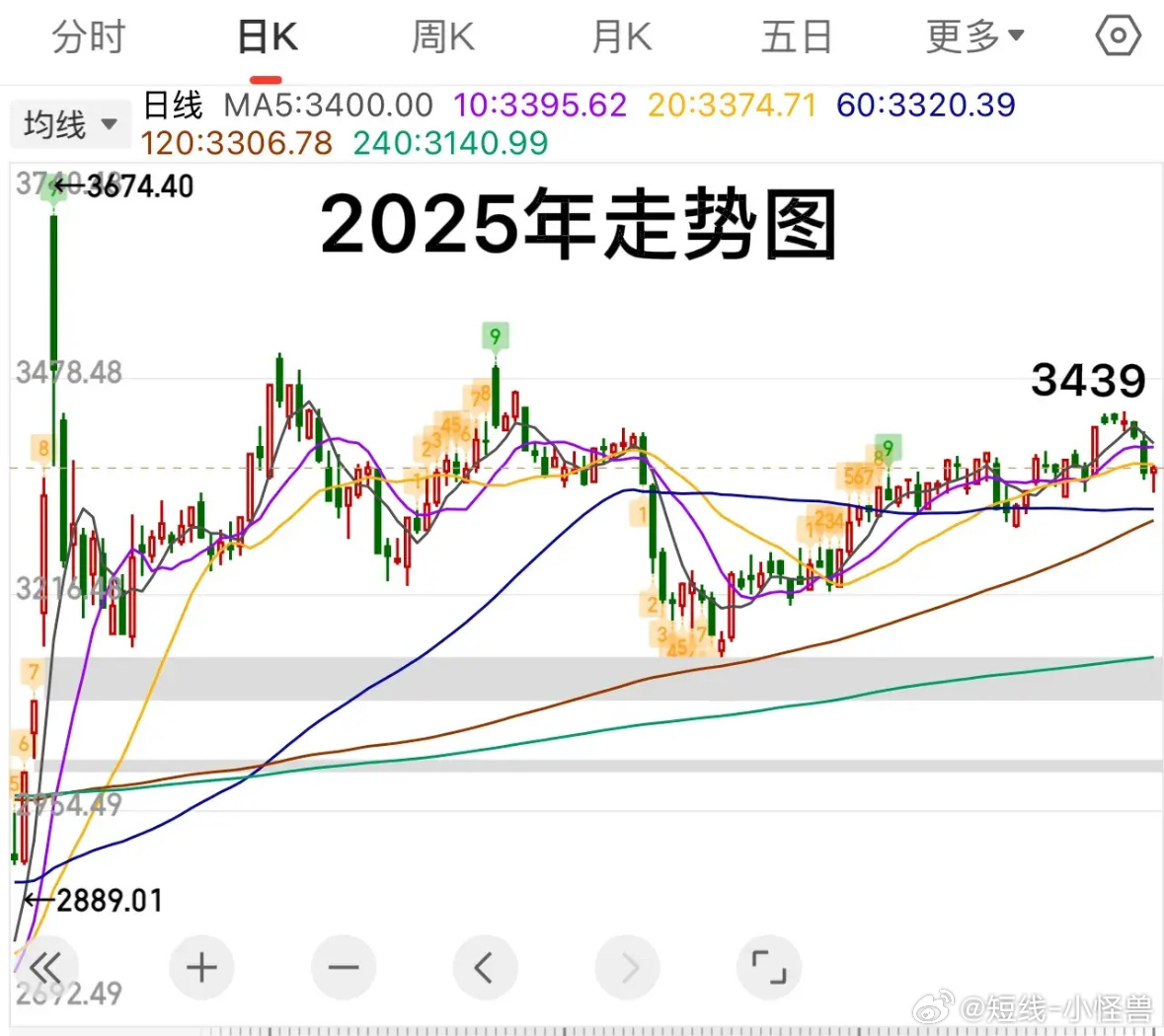 2025石龟最新价格图