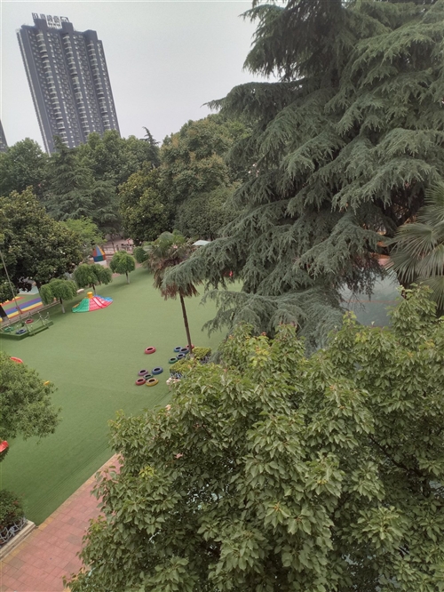 舞钢房价最新出售信息